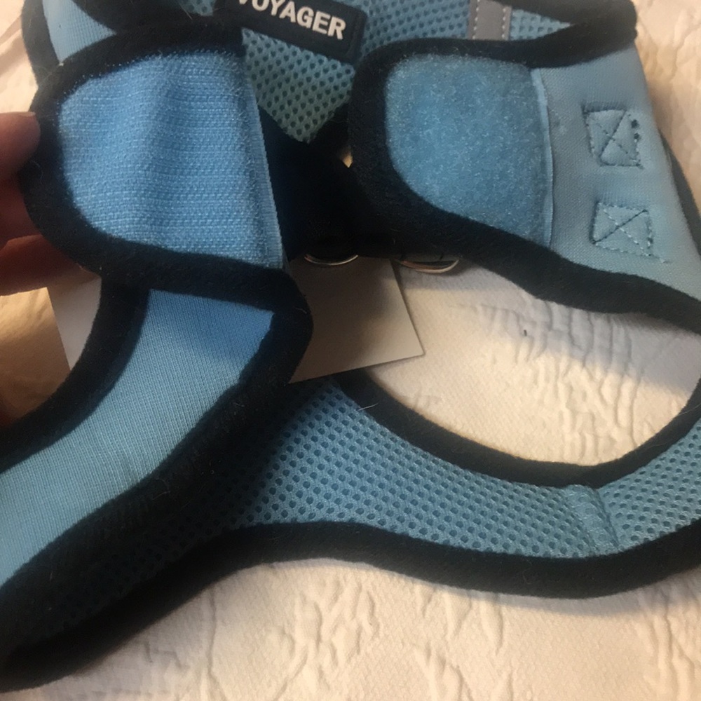 Blue walking harness - Picture 4 of 9